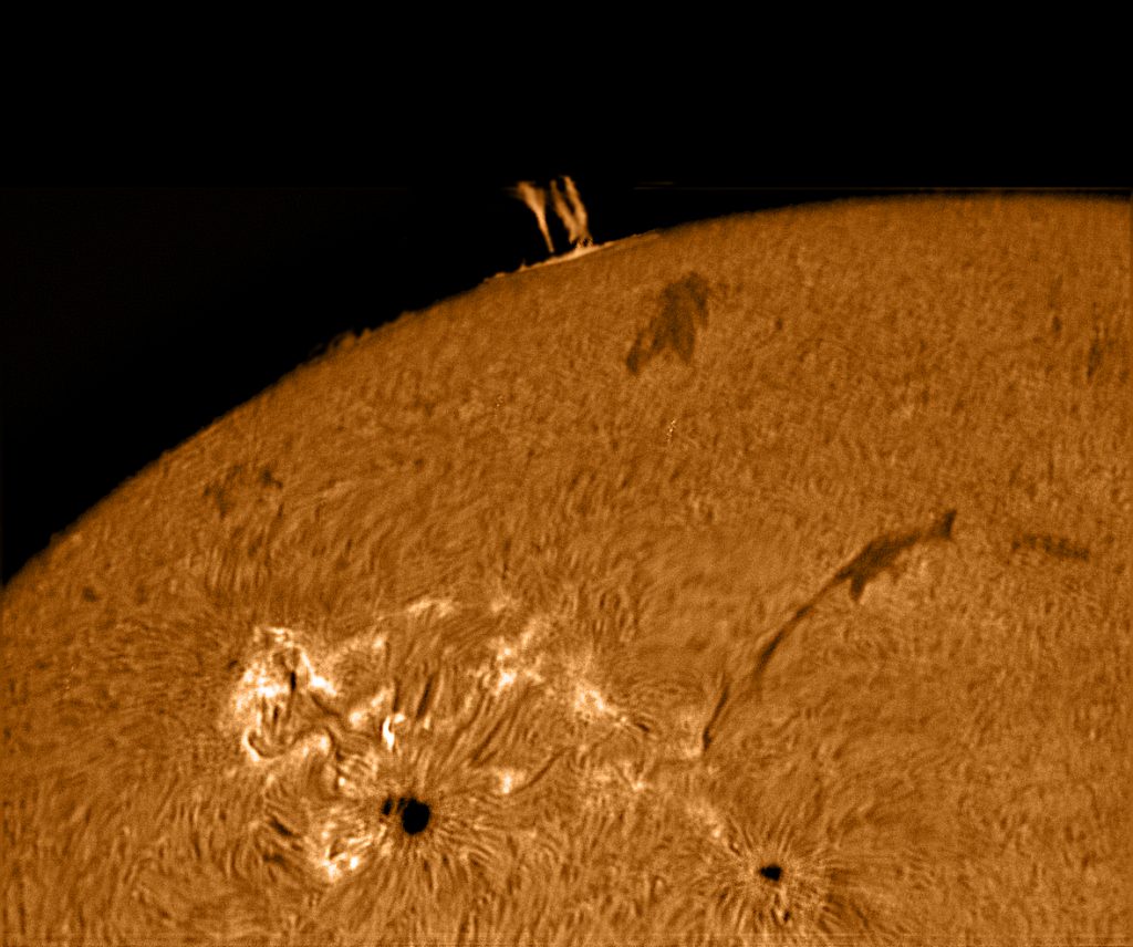 This image has an empty alt attribute; its file name is DS1-1024x856.jpg